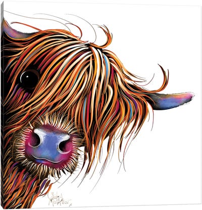 Sugar Lump I Canvas Art Print - Highland Cow Art