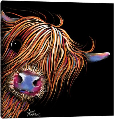 Sugar Lump II Canvas Art Print - Cow Art