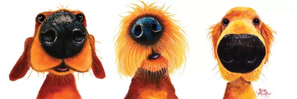 Nursery: The Puppy Dogs by Shirley Macarthur