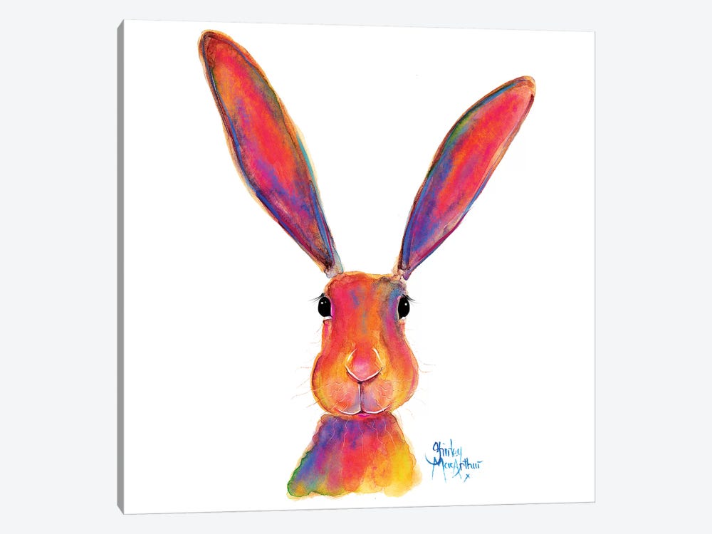 All Ears by Shirley Macarthur 1-piece Canvas Art Print