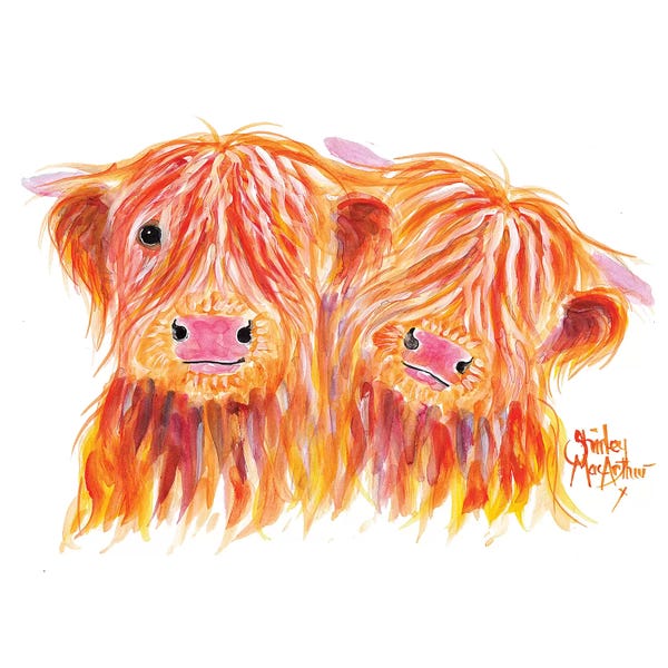 Shirley Macarthur: Buddies by Shirley Macarthur