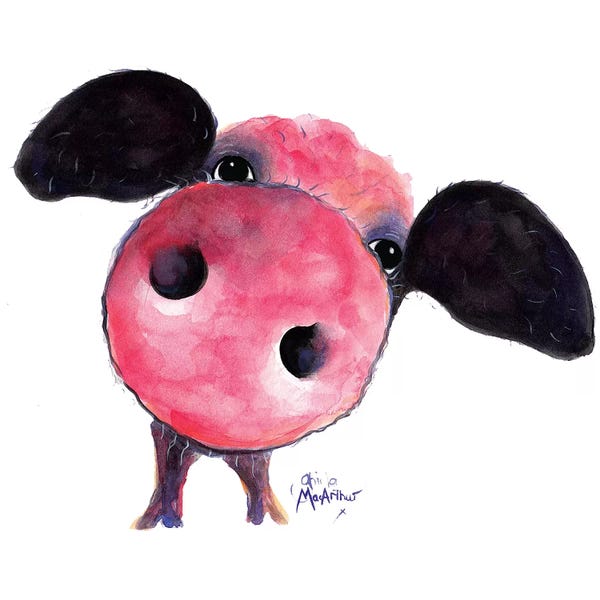 Pigs: Clarence by Shirley Macarthur