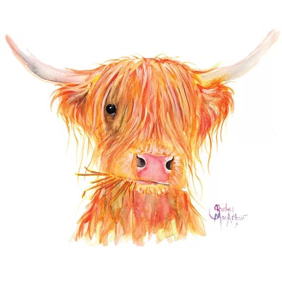 Fergus by Shirley Macarthur framed wall art