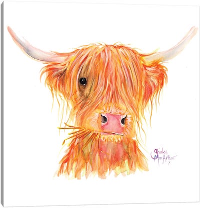 Fergus Canvas Art Print - Highland Cow Art