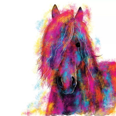 Friesian Wild by Shirley Macarthur framed wall art