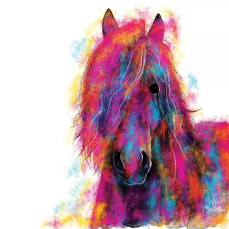 Friesian Wild by Shirley Macarthur wall art