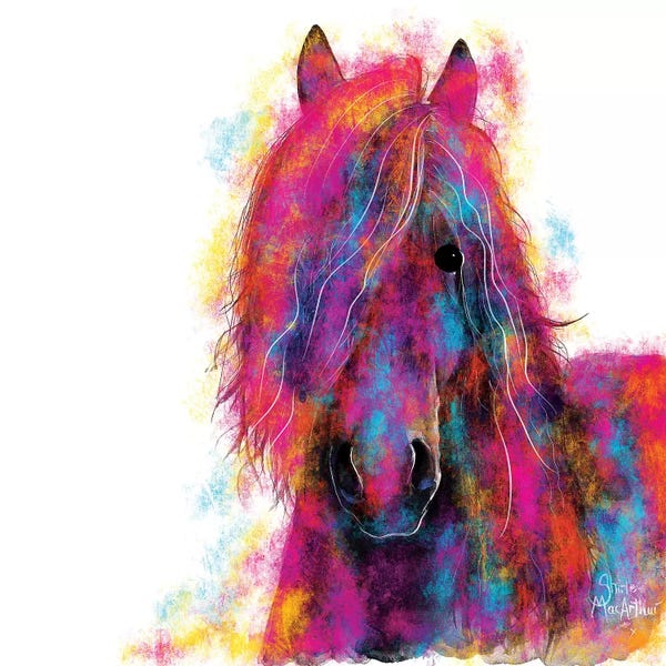 Shirley Macarthur: Friesian Wild by Shirley Macarthur