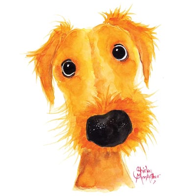 Jacksonville Muttley by Shirley Macarthur framed wall art