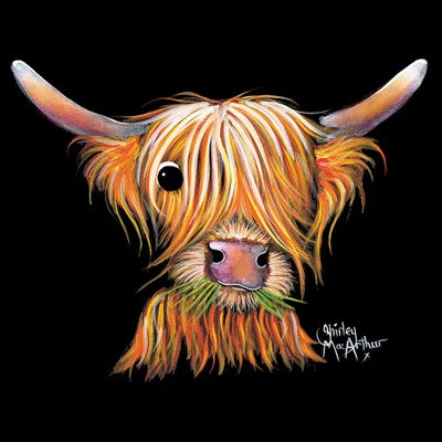 Little Viking II by Shirley Macarthur framed wall art