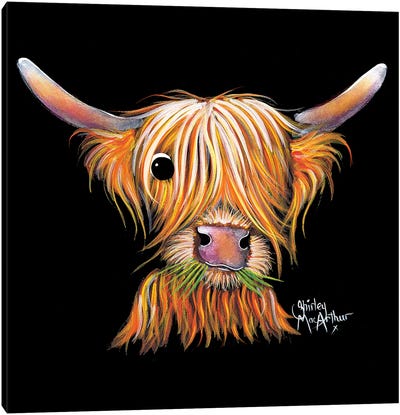 Little Viking II Canvas Art Print - Highland Cow Art