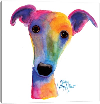 Pansy Canvas Art Print - Greyhound Art