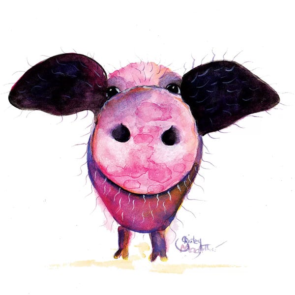 Pigs: Pigs CAN Fly !! by Shirley Macarthur