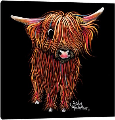 Porridge Canvas Art Print - Highland Cow Art