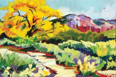 Path To Abiquiú by Maxine Shore art print