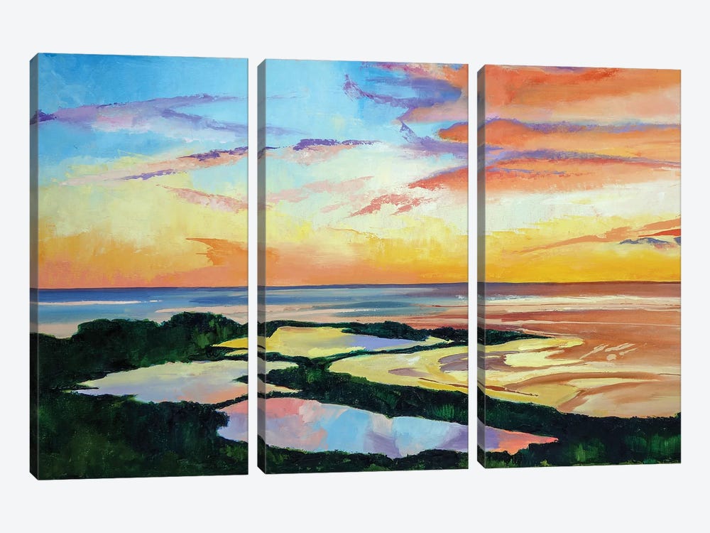 Ocean Sunset by Maxine Shore 3-piece Canvas Artwork