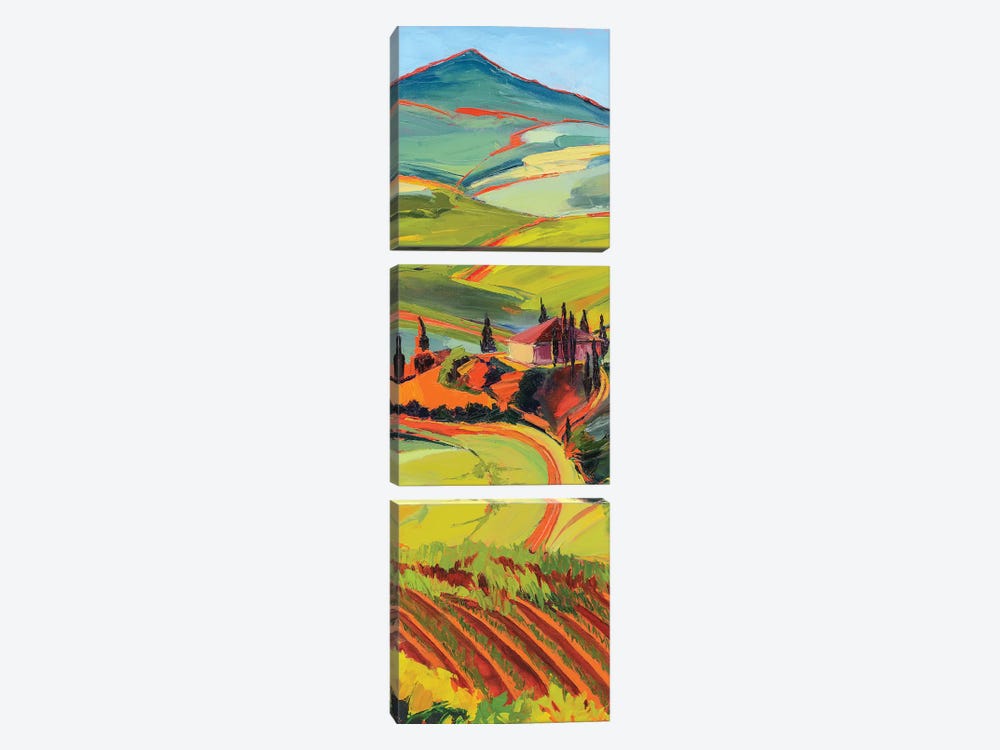 Tuscan Countryside by Maxine Shore 3-piece Canvas Artwork