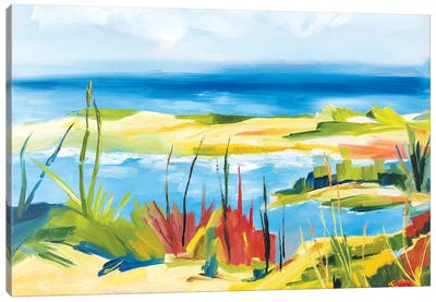 Wellfleet Beach Canvas Art Print - Maxine Shore