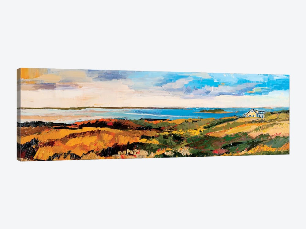 Cape Cod Vista by Maxine Shore 1-piece Canvas Print