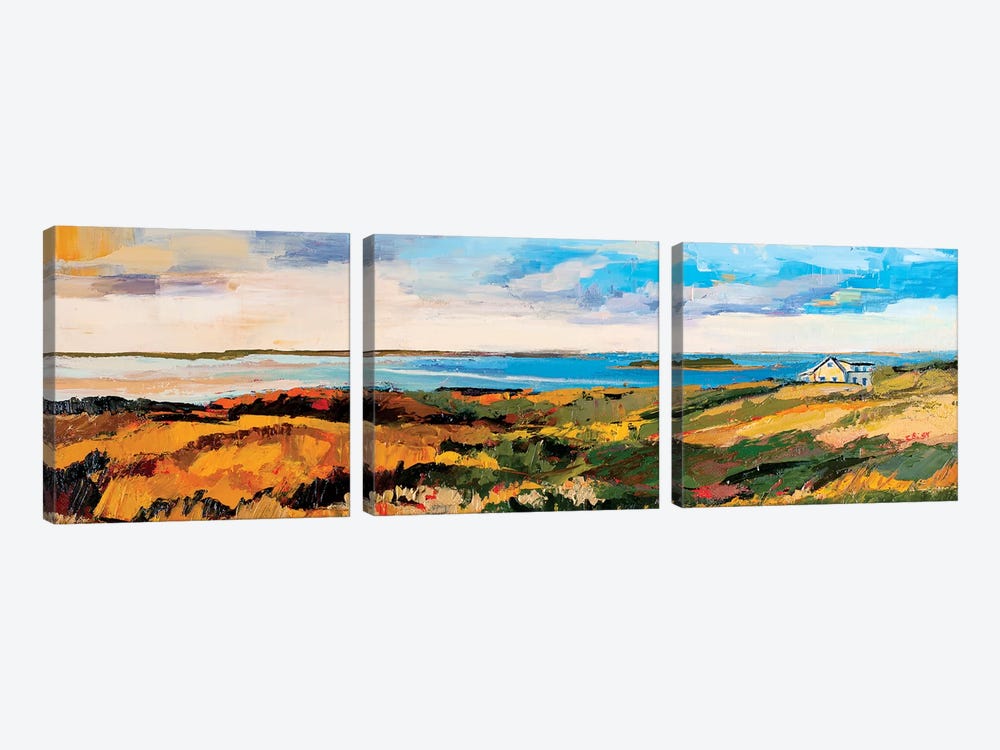 Cape Cod Vista by Maxine Shore 3-piece Canvas Print