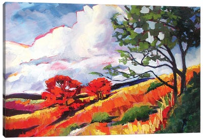 Sonoma Landscape Canvas Art Print - Maxine Shore