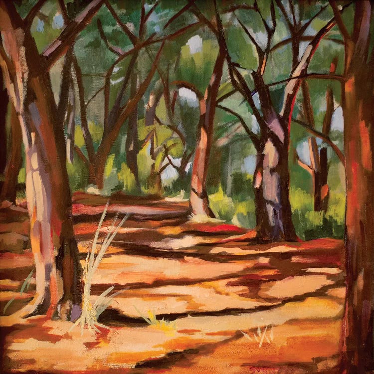 Cape Cod Woods by Maxine Shore wall art