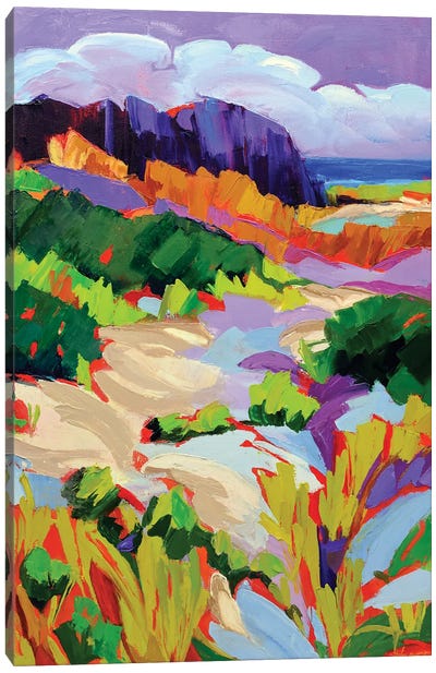Over the Dunes Canvas Art Print - Maxine Shore