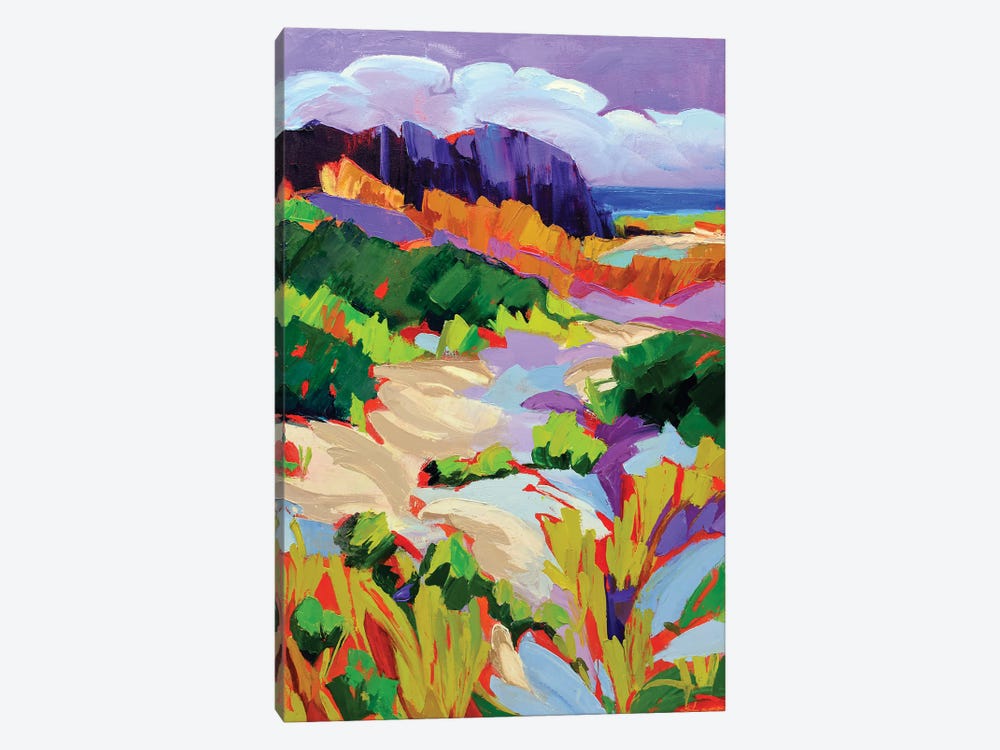Over the Dunes by Maxine Shore 1-piece Canvas Art Print