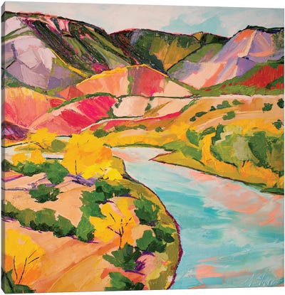 Chama River Canvas Art Print - Pops of Pink