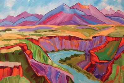 Southwest Color by Maxine Shore canvas print