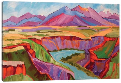 Southwest Color Canvas Art Print - Pops of Pink