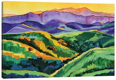 Green Valley Canvas Art Print - Maxine Shore