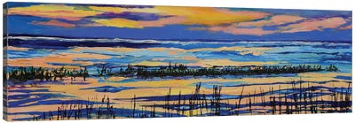 Paines Creek At Sunset Canvas Art Print - Maxine Shore