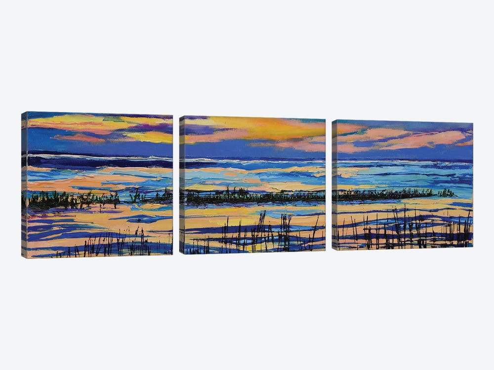 Paines Creek At Sunset by Maxine Shore 3-piece Canvas Art Print