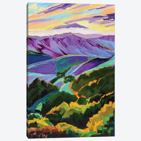 Purple Mountains Majesty Canvas Print #SHO78} by Maxine Shore Canvas Wall Art