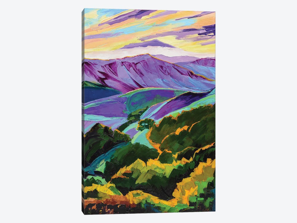 Purple Mountains Majesty by Maxine Shore 1-piece Canvas Wall Art