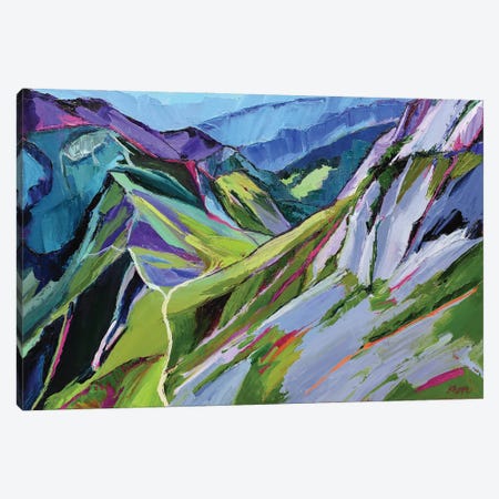 Alpine Trail Canvas Print #SHO79} by Maxine Shore Canvas Art