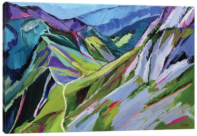 Alpine Trail Canvas Art Print - Maxine Shore