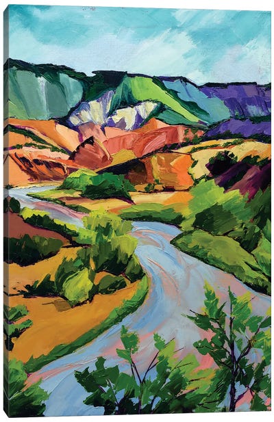 New Mexico Landscape Canvas Art Print - Maxine Shore