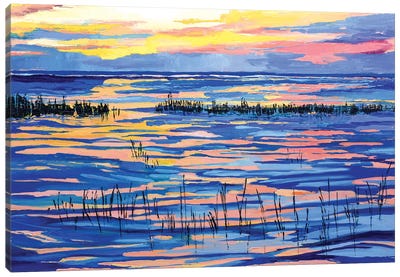 Paine's Creek At Sunset II Canvas Art Print