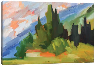 Tuscan Hillside Canvas Art Print - Maxine Shore