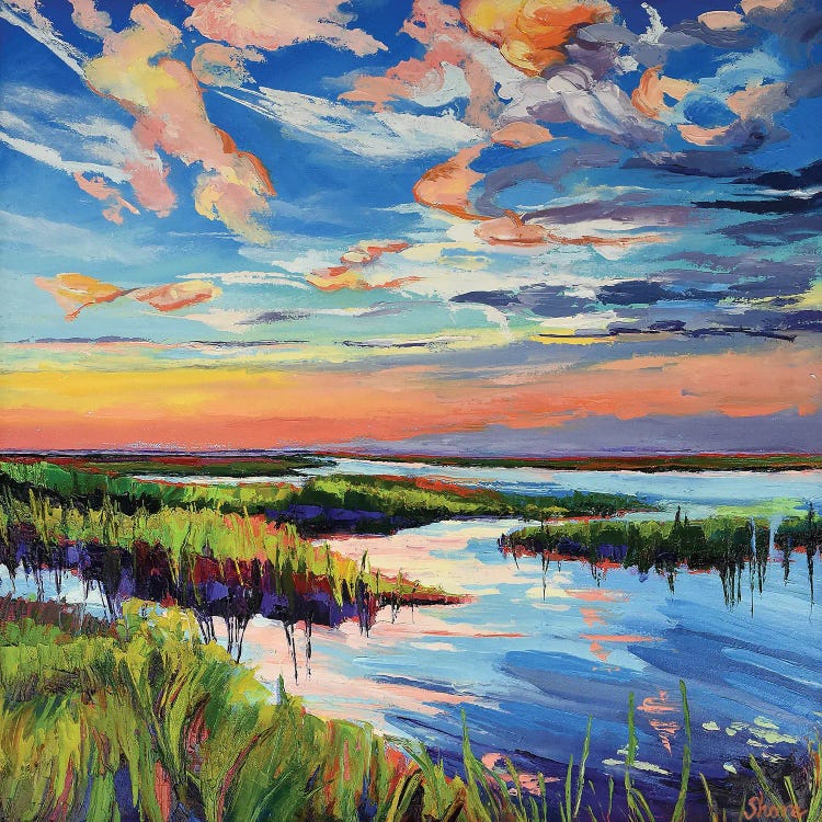 Sunset On The Marsh by Maxine Shore wall art