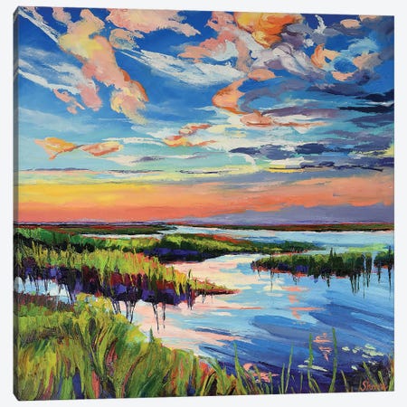 Sunset On The Marsh Canvas Print #SHO91} by Maxine Shore Canvas Wall Art