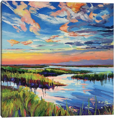 Sunset On The Marsh Canvas Art Print - Marsh & Swamp Art