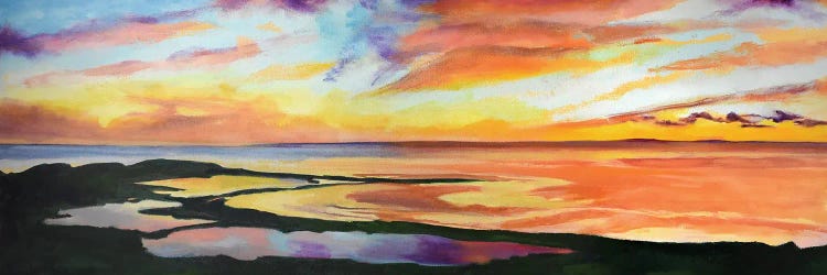 Sunset Reflections by Maxine Shore wall art