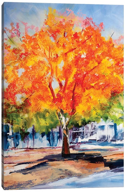 Fall Foliage Canvas Art Print - Maxine Shore