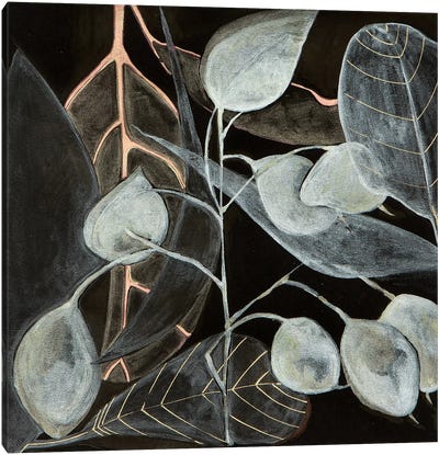 Leaves In Light Canvas Art Print - Mishel Schwartz
