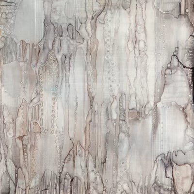 We Were Here First I by Mishel Schwartz framed canvas print