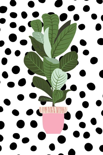 Polka Dot: Flower Pot by Jania Sharipzhanova