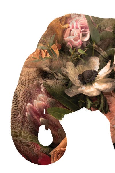Jania Sharipzhanova: Floral Eelephant by Jania Sharipzhanova