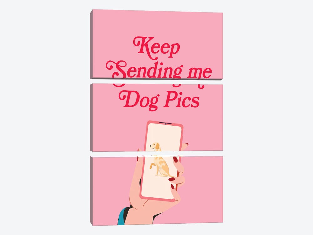 Keep Sending Me Dog Pics by Jania Sharipzhanova 3-piece Canvas Artwork